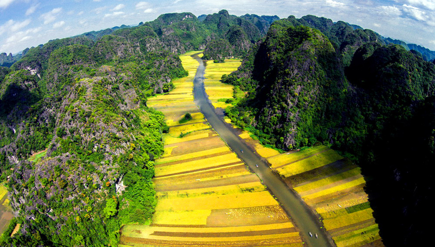 cánh đồng lúa Tam Cốc, Ninh Bình
