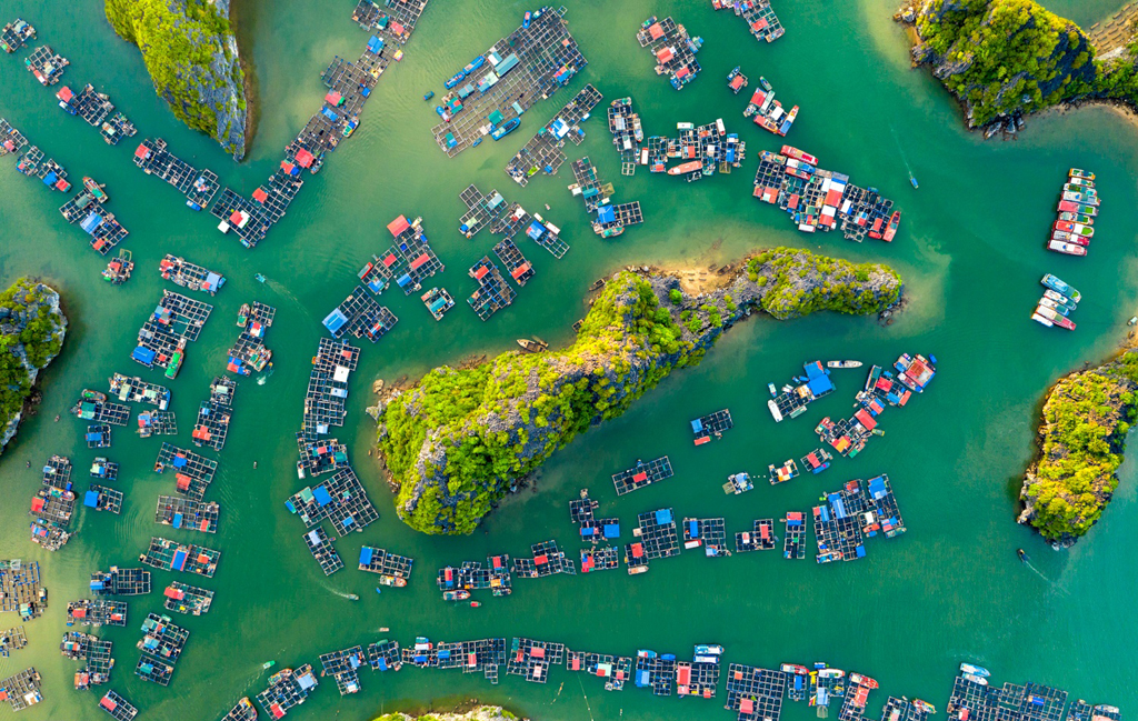 vịnh lan hạ vịnh lan hạ